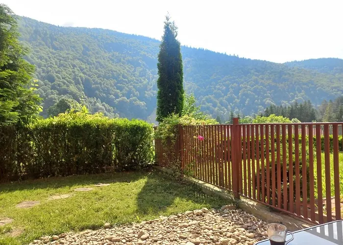 Belleview Garden Studio