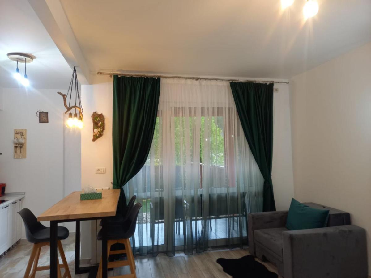 Belleview Garden Studio *
